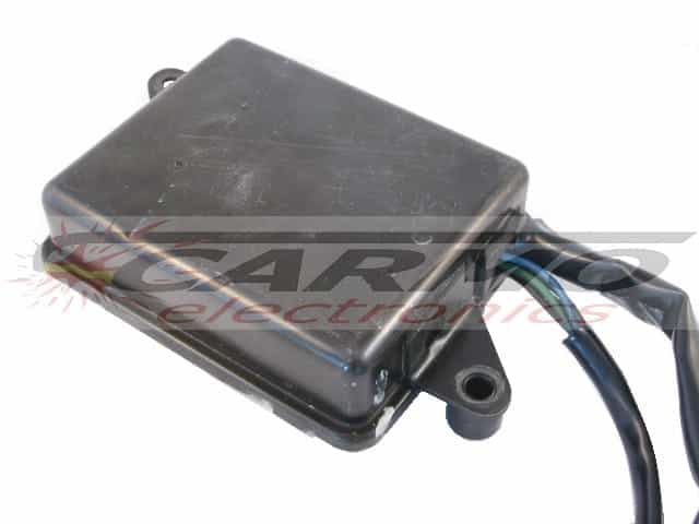 Z1300 (J4T00572, 2X21)